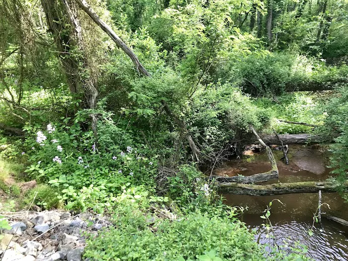 Woy Bridge Campground Picture 7