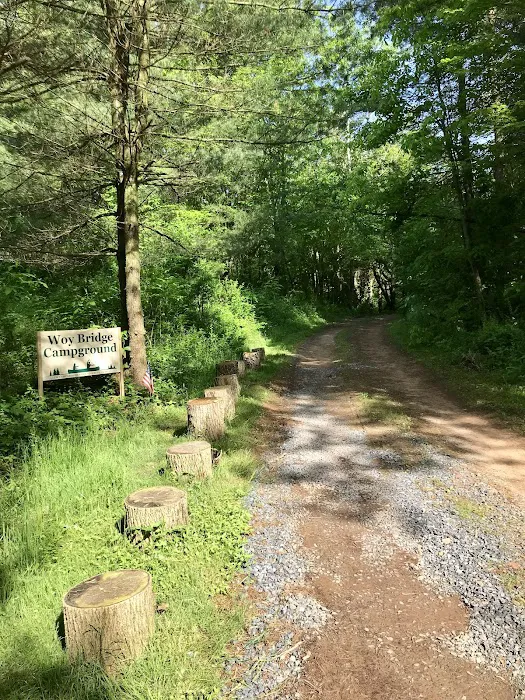 Woy Bridge Campground Picture 1