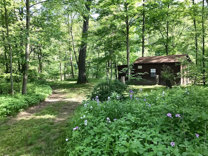 Woy Bridge Campground Picture 6