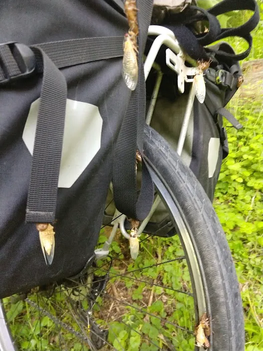 North Mountain Hiker Biker Campsite Picture 8