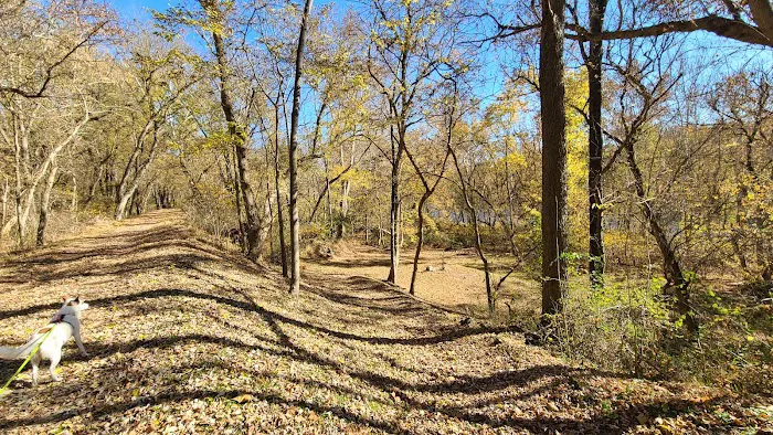North Mountain Hiker Biker Campsite Picture 3