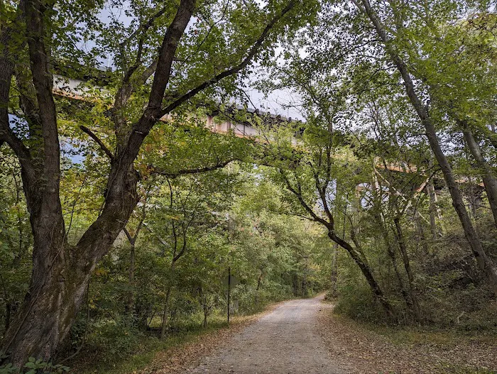 McCoys Ferry Campground Picture 7