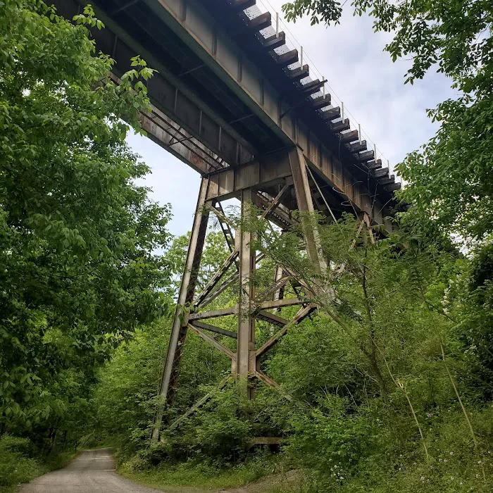 McCoys Ferry Campground Picture 5