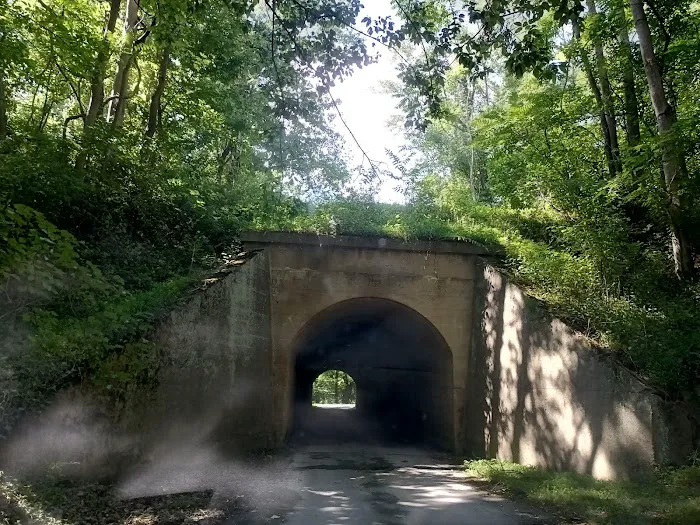 McCoys Ferry Campground Picture 4