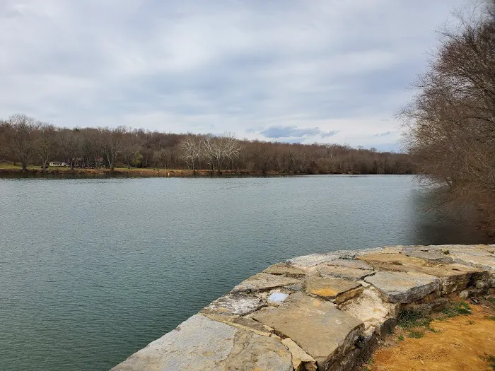 McCoys Ferry Campground Picture 8