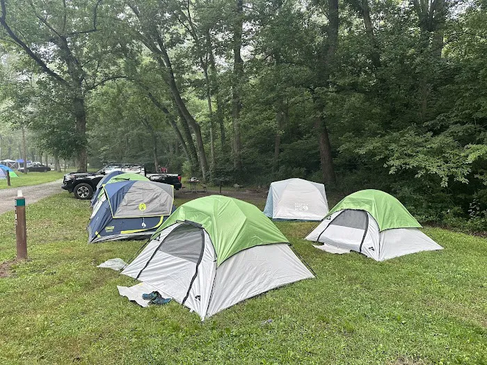 McCoys Ferry Campground Picture 10