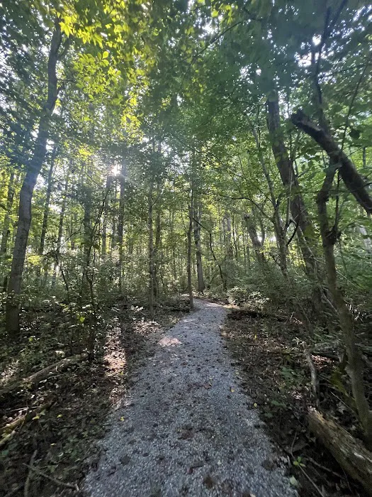 Jordan Junction Hiker Biker Campsite Picture 2