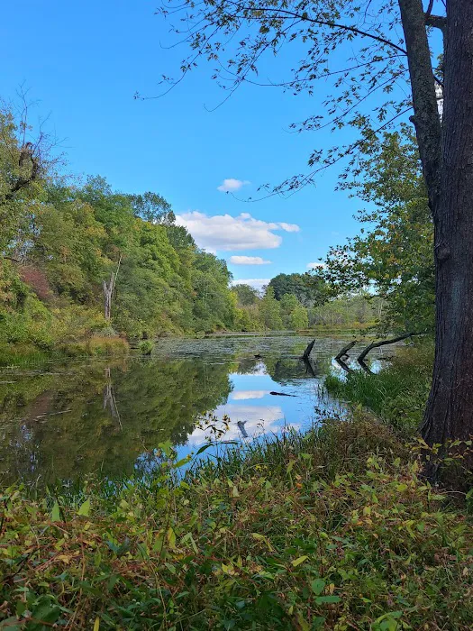 Jordan Junction Hiker Biker Campsite Picture 6