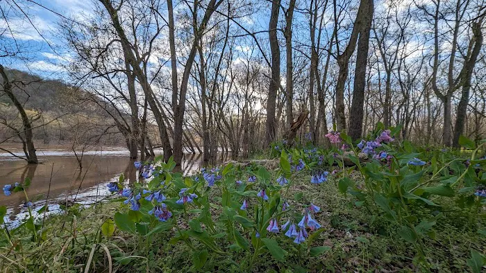 White Rock Hiker-Biker Campsite Picture 7