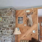 Dufflane Cabin Rentals