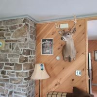 Dufflane Cabin Rentals ico