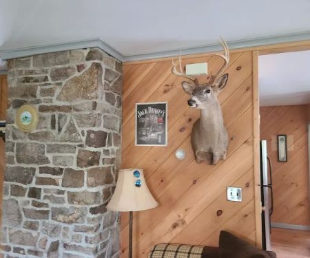 Dufflane Cabin Rentals