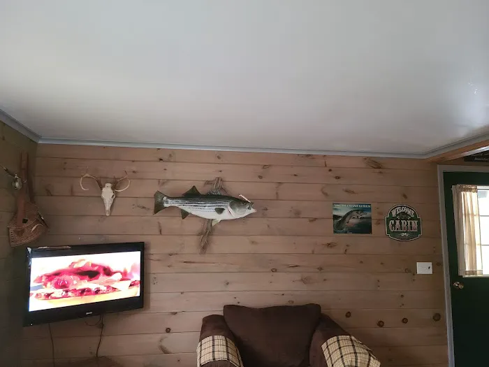 Dufflane Cabin Rentals Picture 3