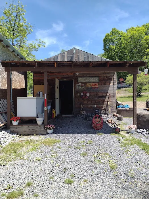 Rough and ready campground and live bait Picture 1