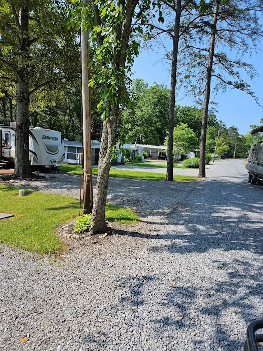 Shy Beaver RV Park Picture 5