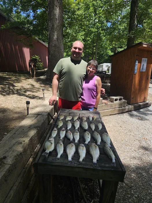 Shy Beaver RV Park Picture 1