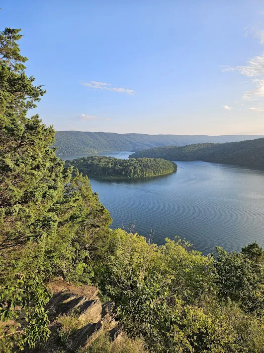 Shy Beaver RV Park Picture 6