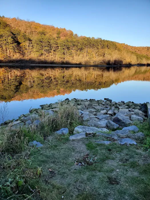 Shy Beaver RV Park Picture 8