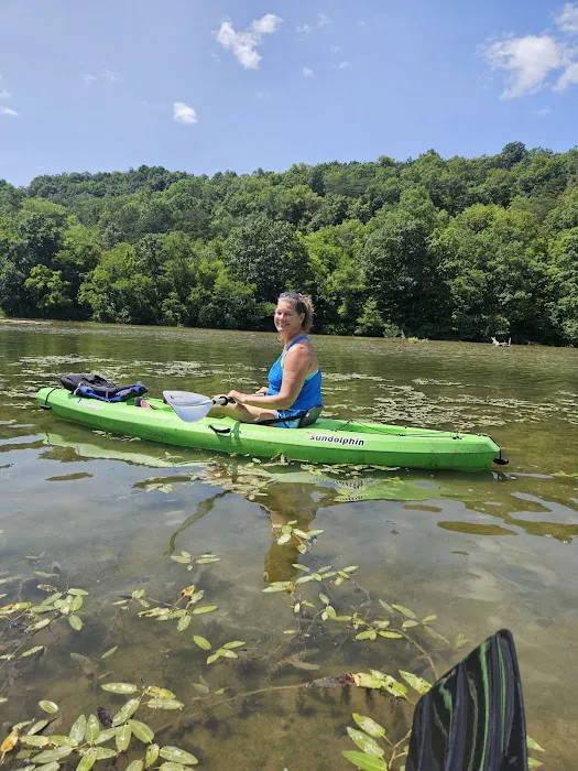 Shy Beaver RV Park Picture 3