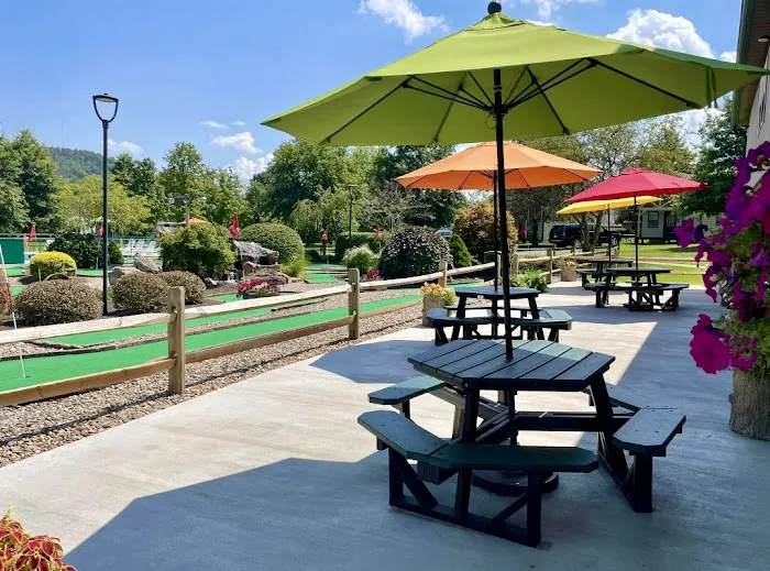 Friendship Village Campground & RV Park Picture 7