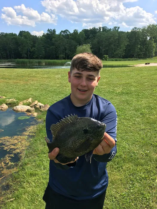 Merritt Pond Campground Picture 9