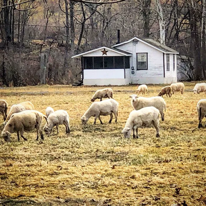 Horns Cabins - The Stargazer Cabin Picture 1