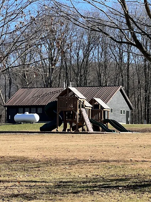 Blue Knob State Park Campground Picture 7