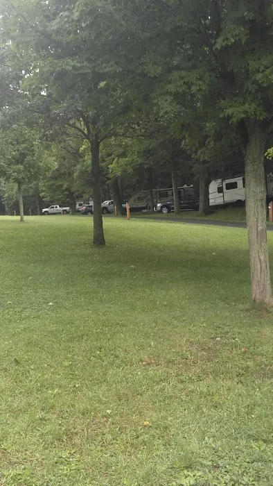 Blue Knob State Park Campground Picture 10