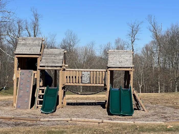 Blue Knob State Park Campground Picture 5