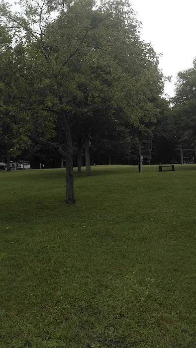 Blue Knob State Park Campground Picture 9