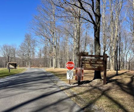 Blue Knob State Park Campground
