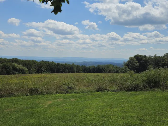 Blue Knob State Park Campground Picture 6