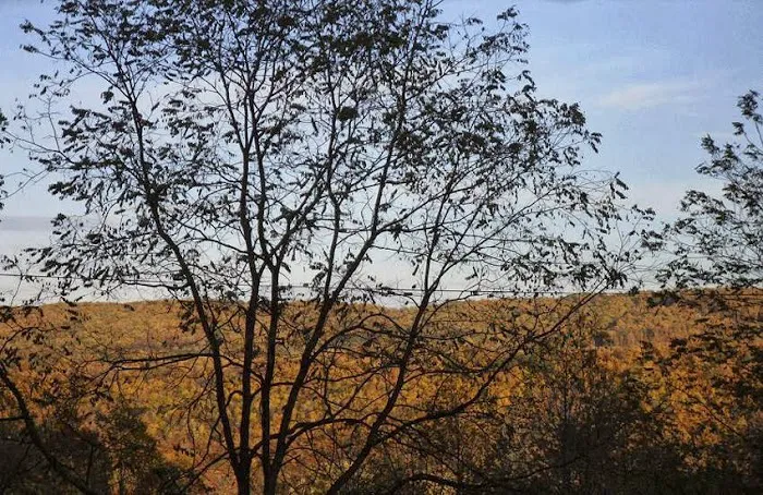 Buck's Campground Picture 7