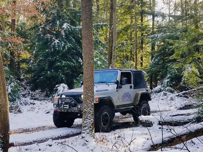 The Lannding LLC Picture 8