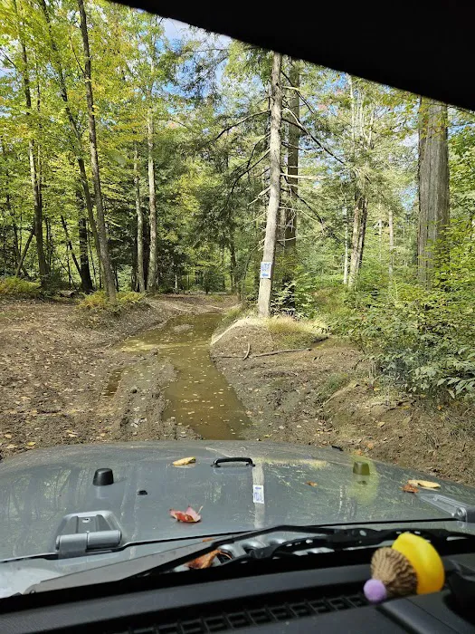 The Lannding LLC Picture 6