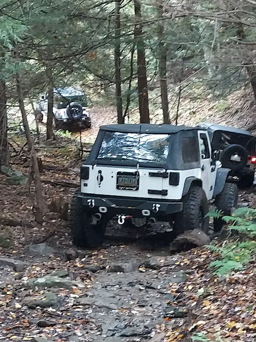 The Lannding LLC Picture 1