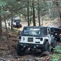 The Lannding LLC ico