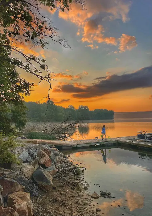 McFeater’s Cove Cabins Picture 7