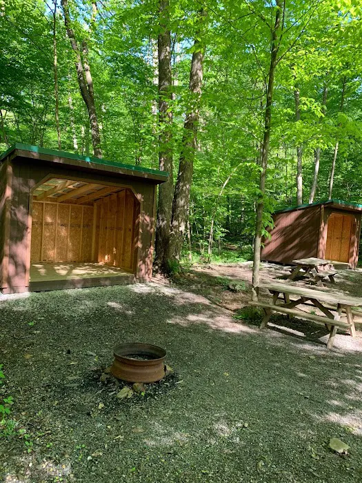 Yellow Creek Campground Picture 6