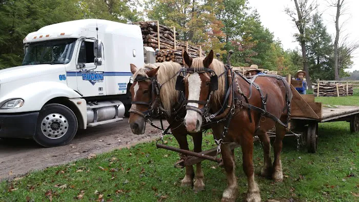 Rocky Top Campgrounds Picture 3