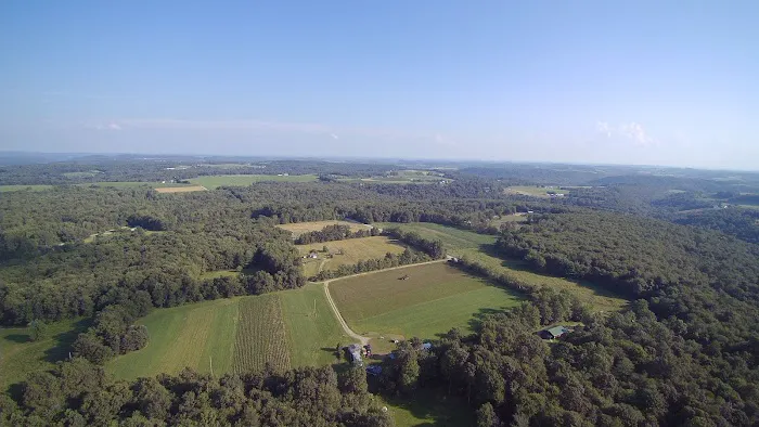 Rocky Top Campgrounds Picture 8