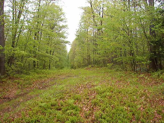 Decker Shelters Picture 8