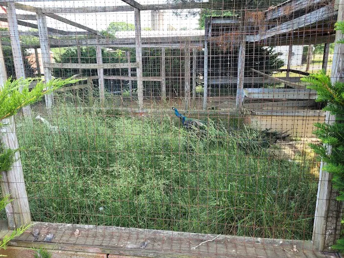 Wheel-In Campground Picture 10