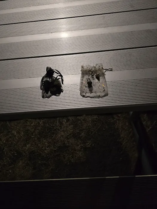 Whitetail RV Park Picture 5