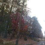 R & D Family Campground