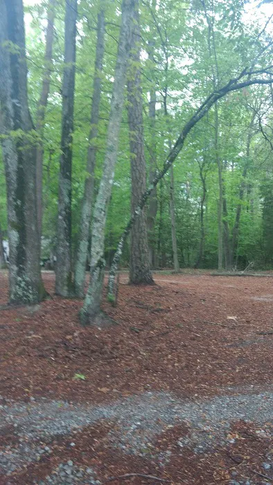 R & D Family Campground Picture 7