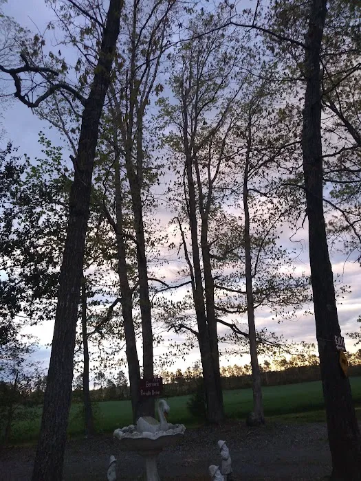 R & D Family Campground Picture 4