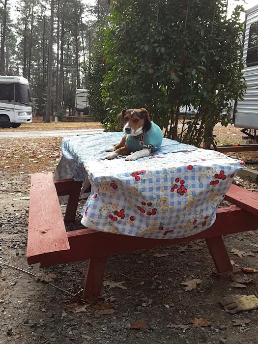 R & D Family Campground Picture 10