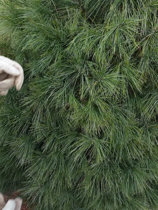 Hidden Acres Family Campground Picture 6