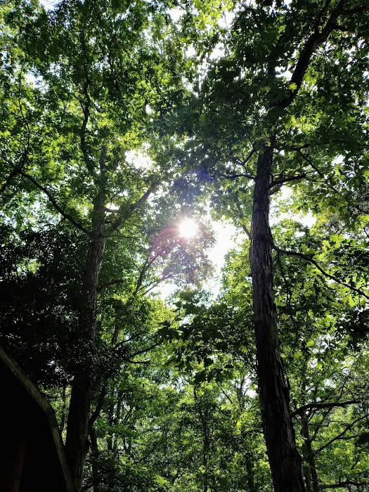 Hidden Acres Family Campground Picture 5